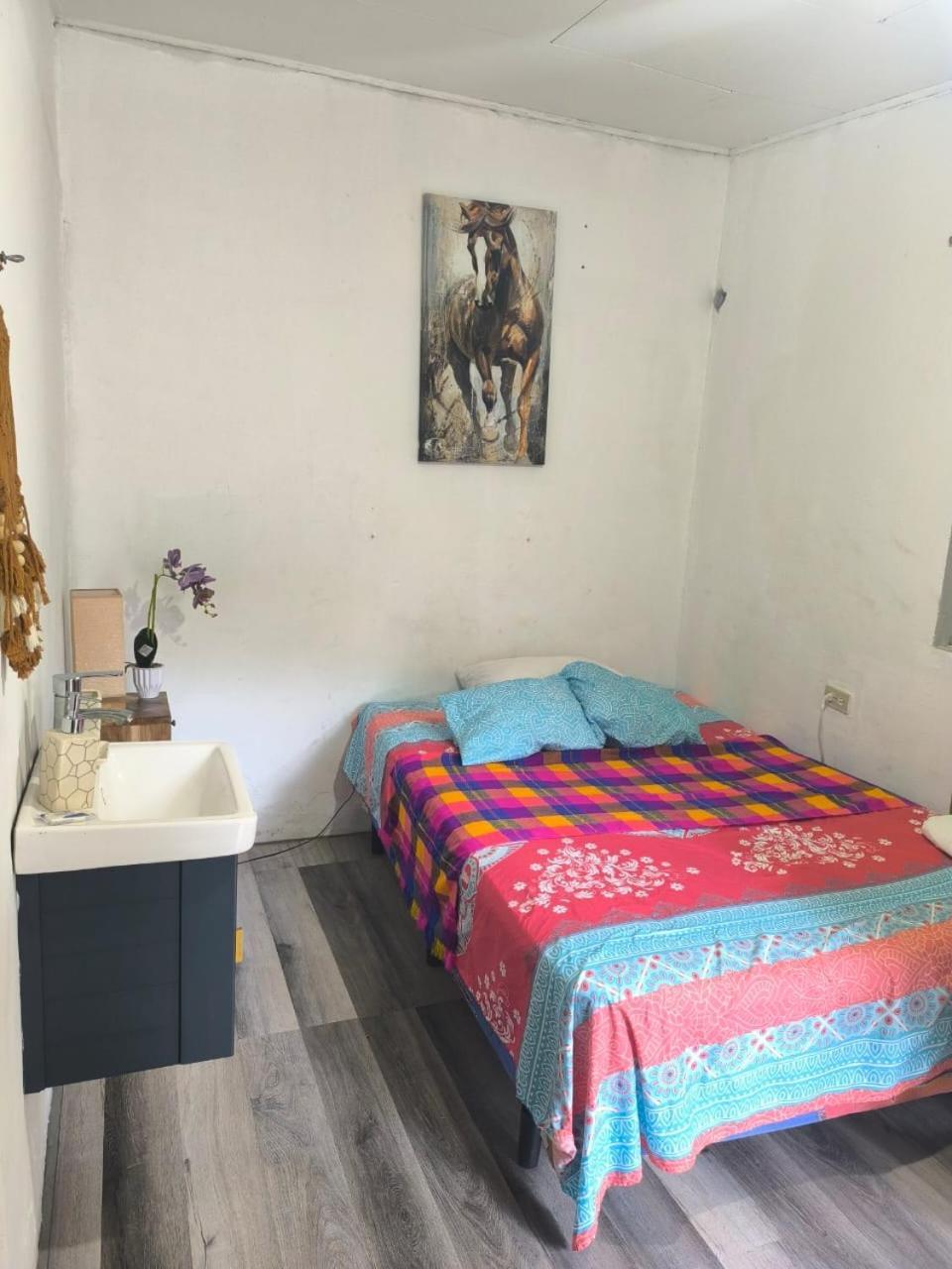 산페드로술라 La Casa De Don Matilde H3 아파트 외부 사진